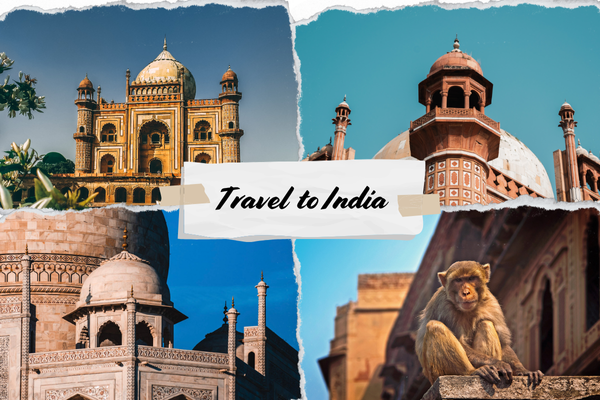 Anil Sairam Travel Services - India's No 1 Travel Company for Multi-Day Tour Packages